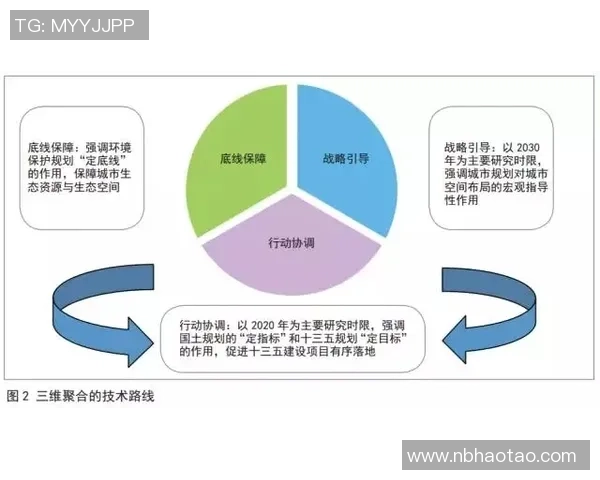 深圳排球队运营革新探索：从管理模式到市场推广的全方位变革之路